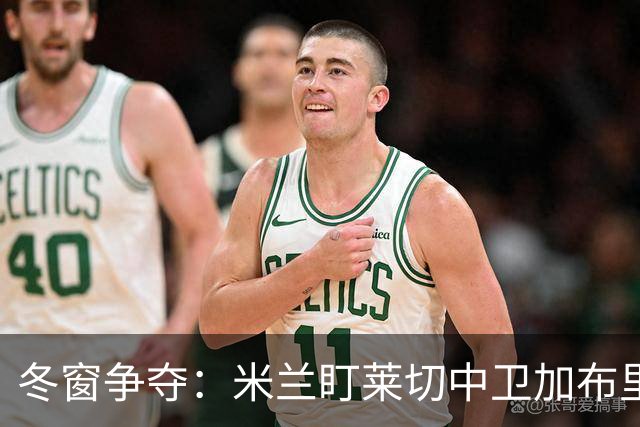 冬窗争夺：米兰盯莱切中卫加布里埃尔 埃弗顿水晶宫已询价