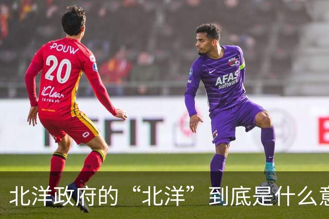 北洋政府的“北洋”到底是什么意思？不是北方洋人的意思