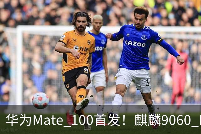 华为Mate 100首发！麒麟9060 Pro升级更猛：良率提升明显
