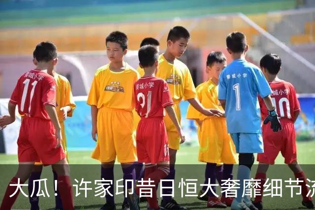 大瓜！许家印昔日恒大奢靡细节流出，丁玉梅海外包养30岁白人小伙