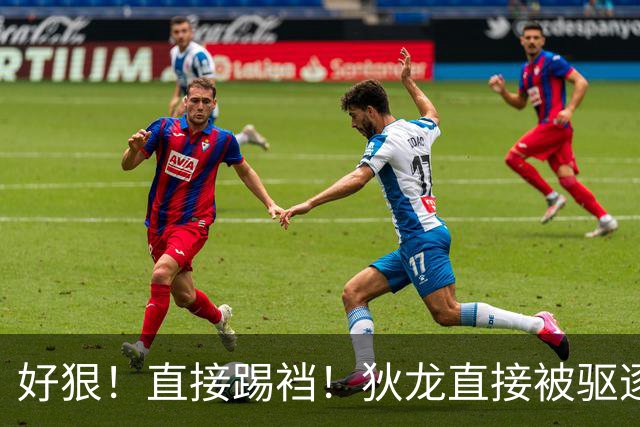 好狠！直接踢裆！狄龙直接被驱逐！