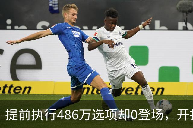 提前执行486万选项却0登场，开拓者对杨瀚森是什么打算？
