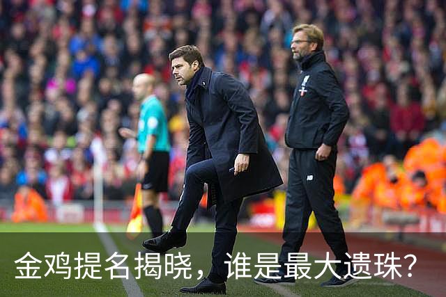 金鸡提名揭晓，谁是最大遗珠？