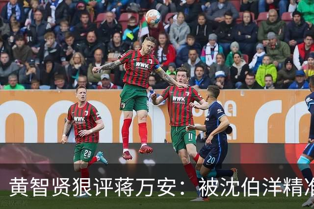黄智贤狠评蒋万安：被沈伯洋精准拿捏、全程跟风被动