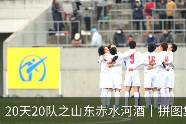 20天20队之山东赤水河酒｜拼图集齐 冲击冠军