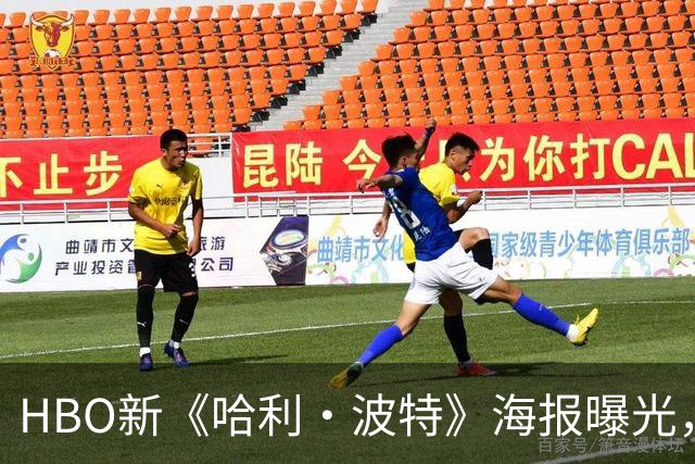 HBO新《哈利·波特》海报曝光，霍格沃茨城堡藏在哈利的眼镜里
