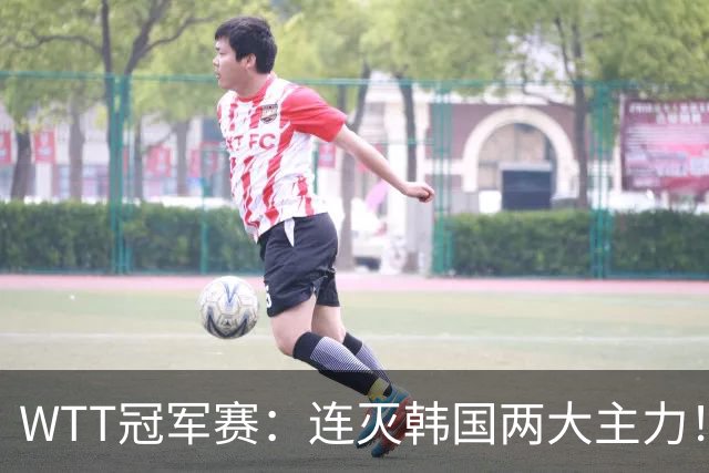 WTT冠军赛：连灭韩国两大主力！林诗栋3-0安宰贤，下轮战莫雷加德